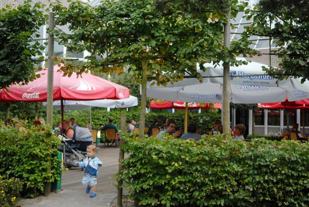Sunparks Kempense Meren Mol Kültér fotó