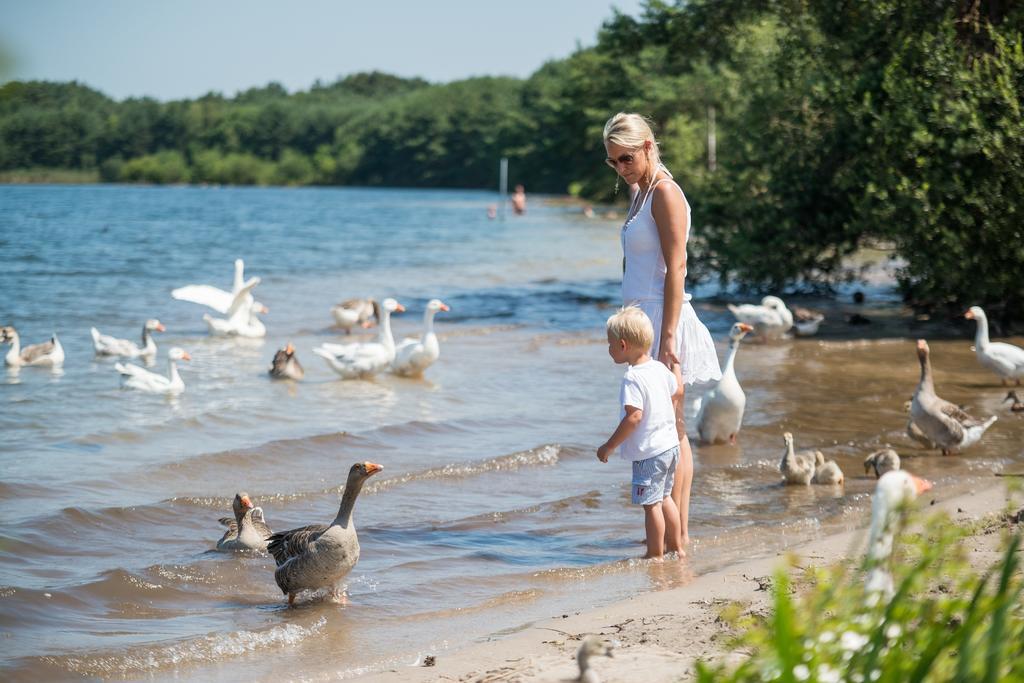 Sunparks Kempense Meren Mol Kültér fotó